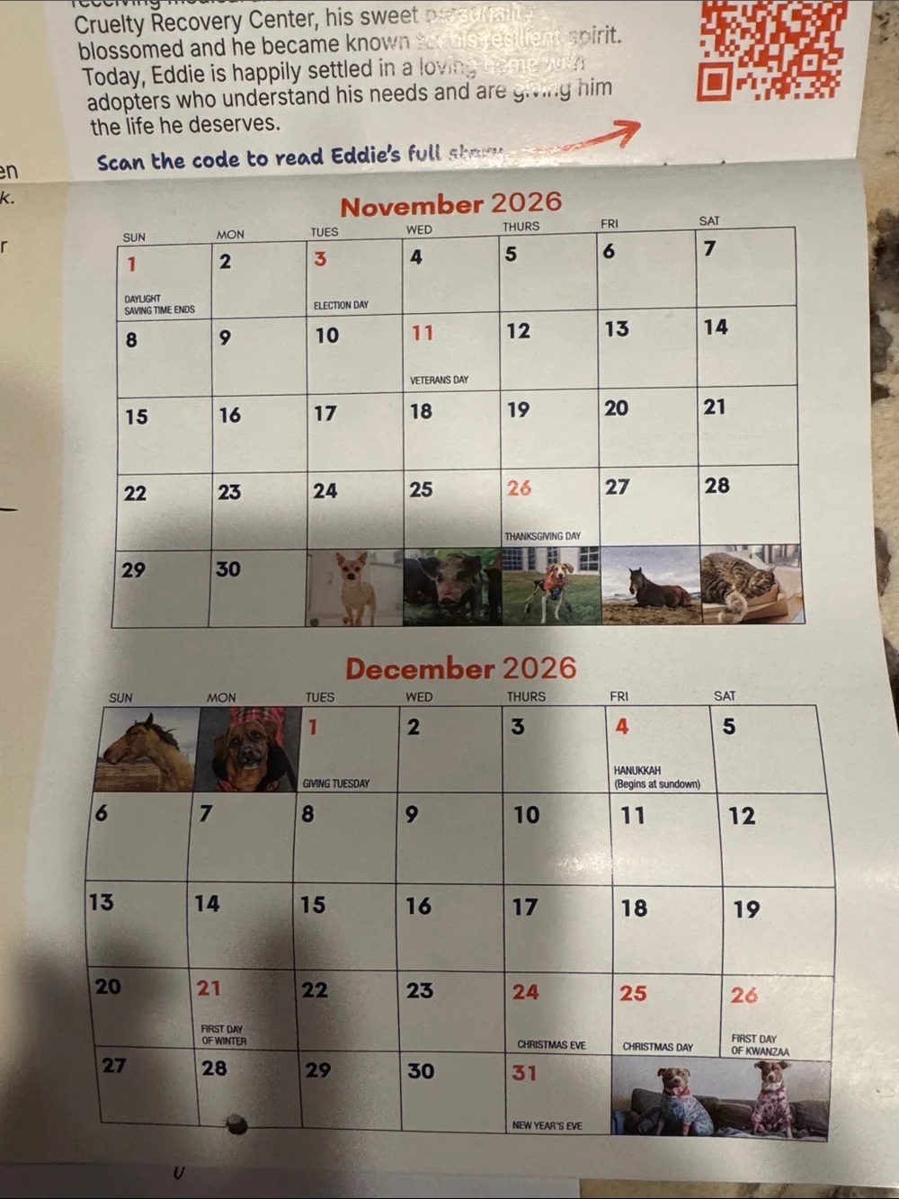 2027 Special Edition Calendar - Cream/Orange